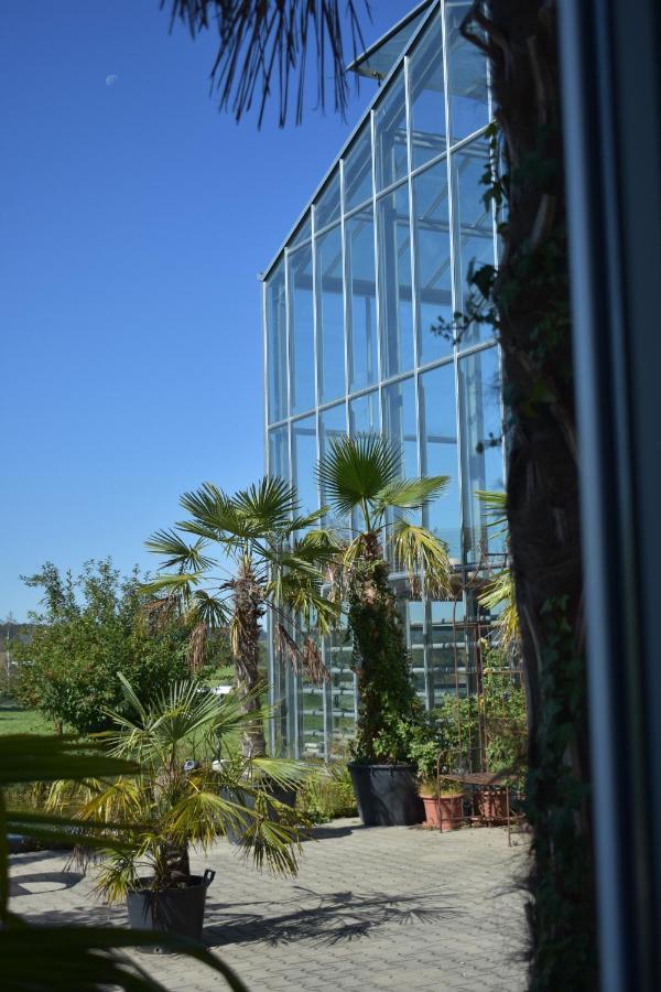 Palmengarten Finning Kültér fotó