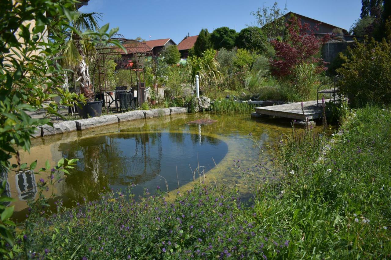 Palmengarten Finning Kültér fotó